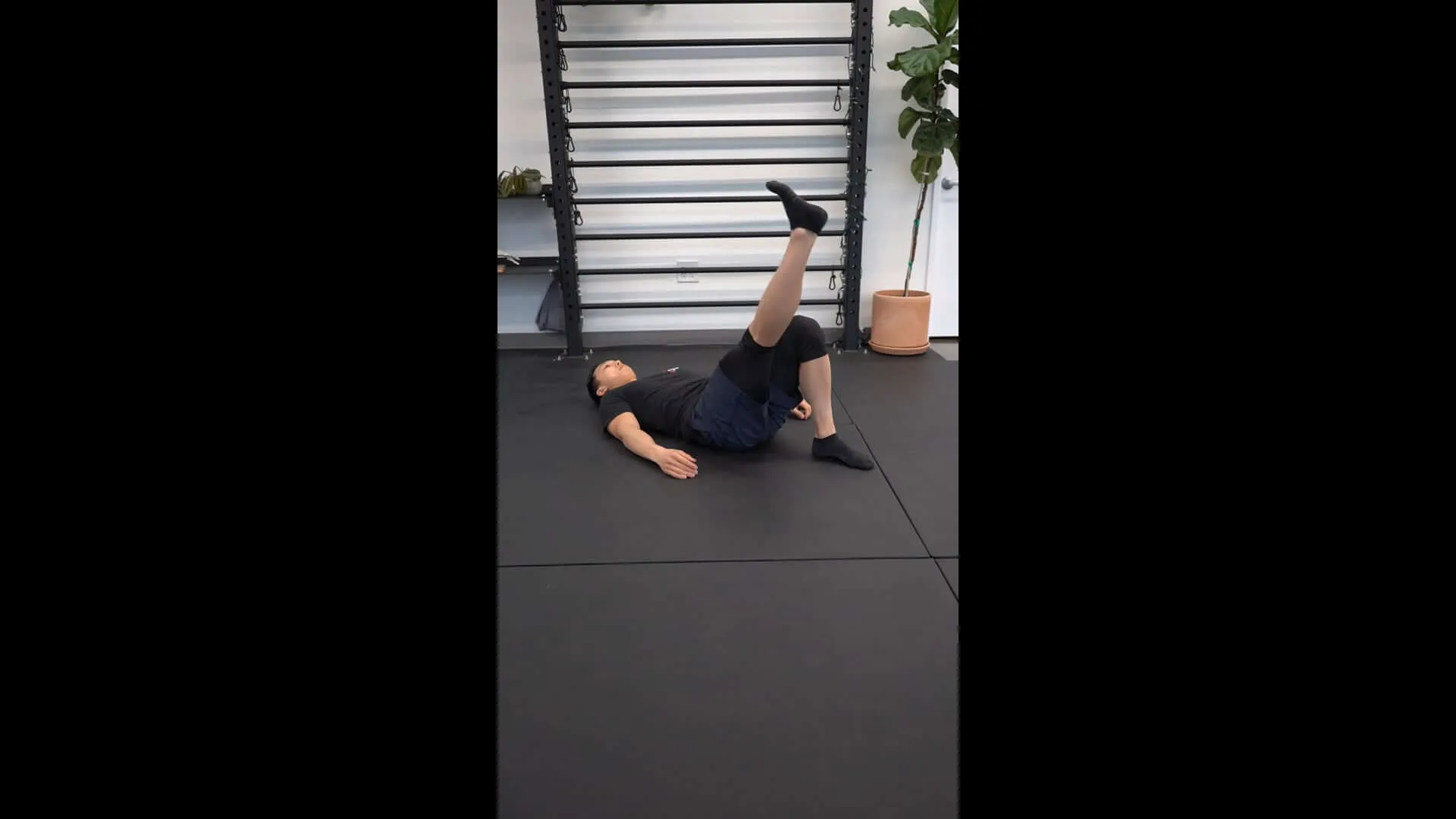 Straight Leg Raise