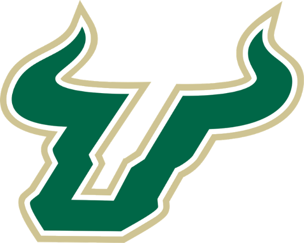 University of South Florida